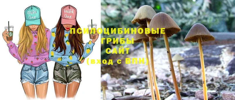 блэк спрут ССЫЛКА  Кировск  Галлюциногенные грибы Psilocybe  даркнет сайт 